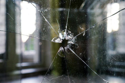zerstörte Glasscheibe