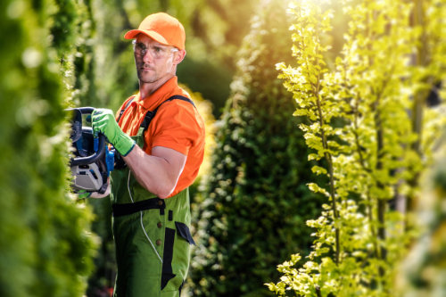 Betreibskosten Mann schneidet eine Hecke
